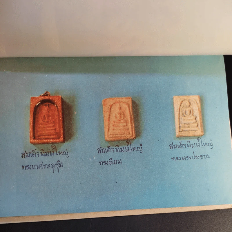 หลวงปู่ทอง วัดราชโยธา (วัดลาดบัวขาว) อายุ 117 ปี รูปที่ 9