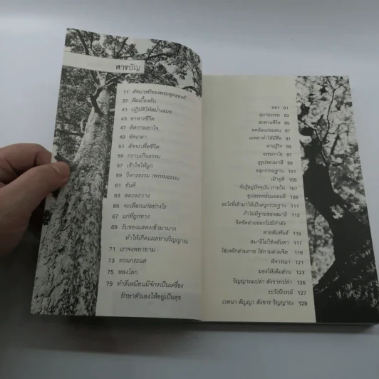 ดูใจเพื่อไปนิพพาน - นิลมณี รูปที่ 8