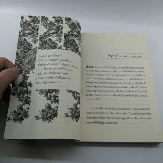 ดูใจเพื่อไปนิพพาน - นิลมณี รูปที่ 10