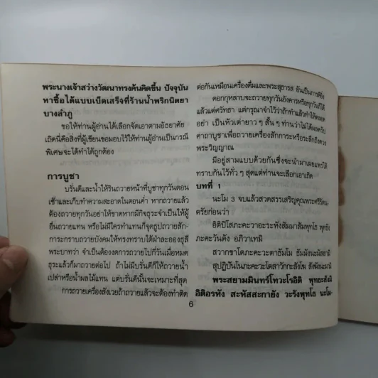 พระบรมฉายาลักษณ์ พระบาทสมเด็จพระจุลจอมเกล้าเจ้าอยู่หัว รูปที่ 10