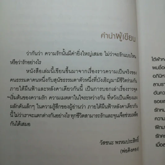 ผมชื่อคิงคองคร้าบ - วัสชนะ พรหมประสิทธิ์ รูปที่ 11