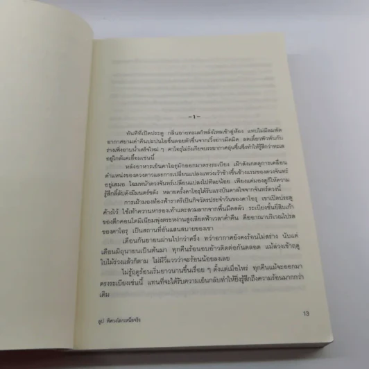 ลูป พิศวงโลกเหนือจริง รูปที่ 11