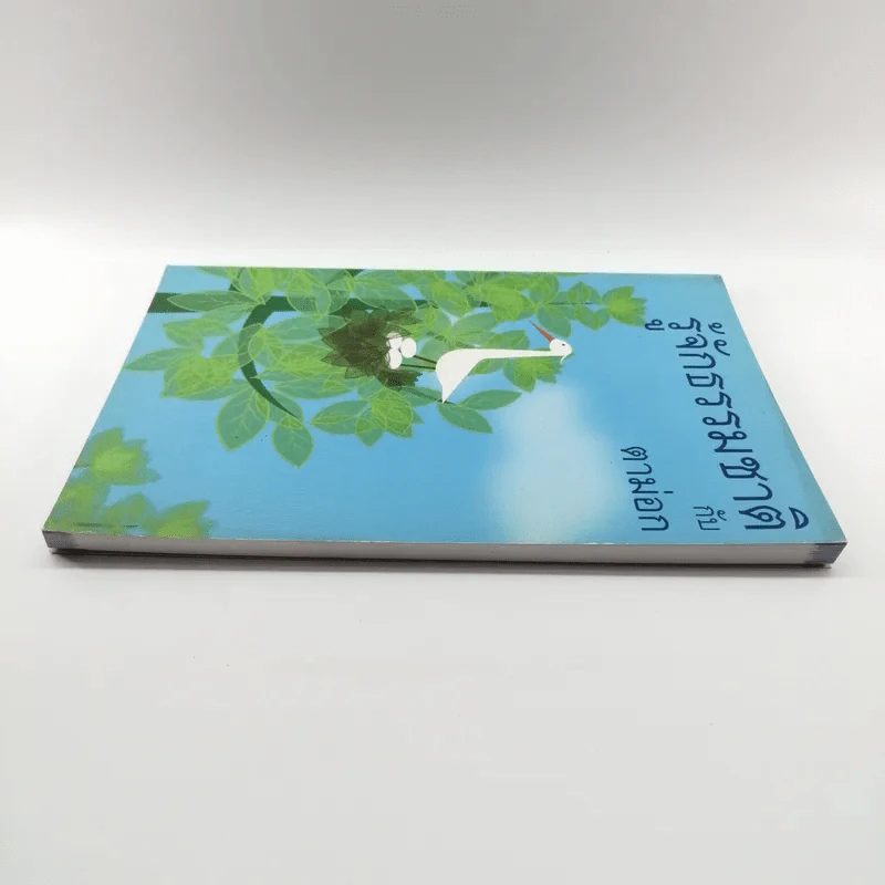 รู้จักธรรมชาติกับตาม่อก - ตาม่อก รูปที่ 3