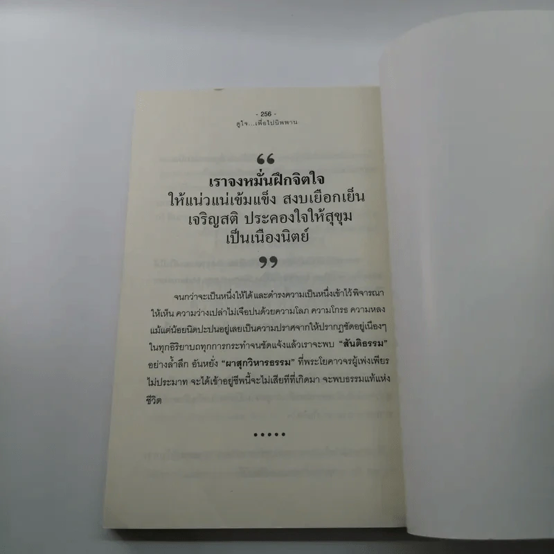 ดูใจเพื่อไปนิพพาน - นิลมณี รูปที่ 11