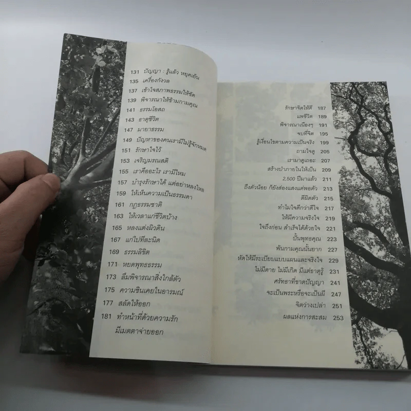 ดูใจเพื่อไปนิพพาน - นิลมณี รูปที่ 9