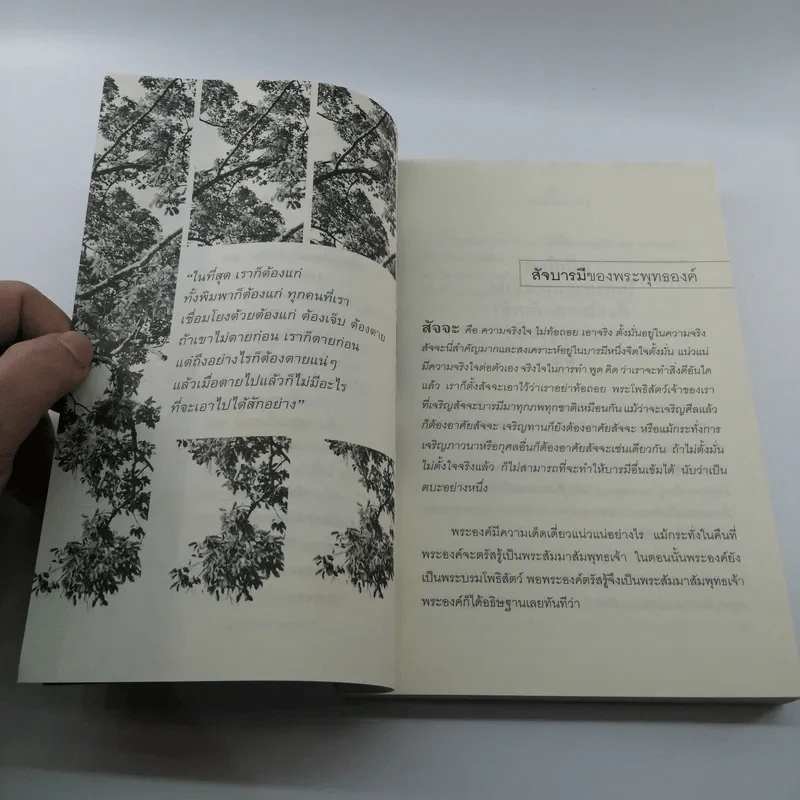 ดูใจเพื่อไปนิพพาน - นิลมณี รูปที่ 10