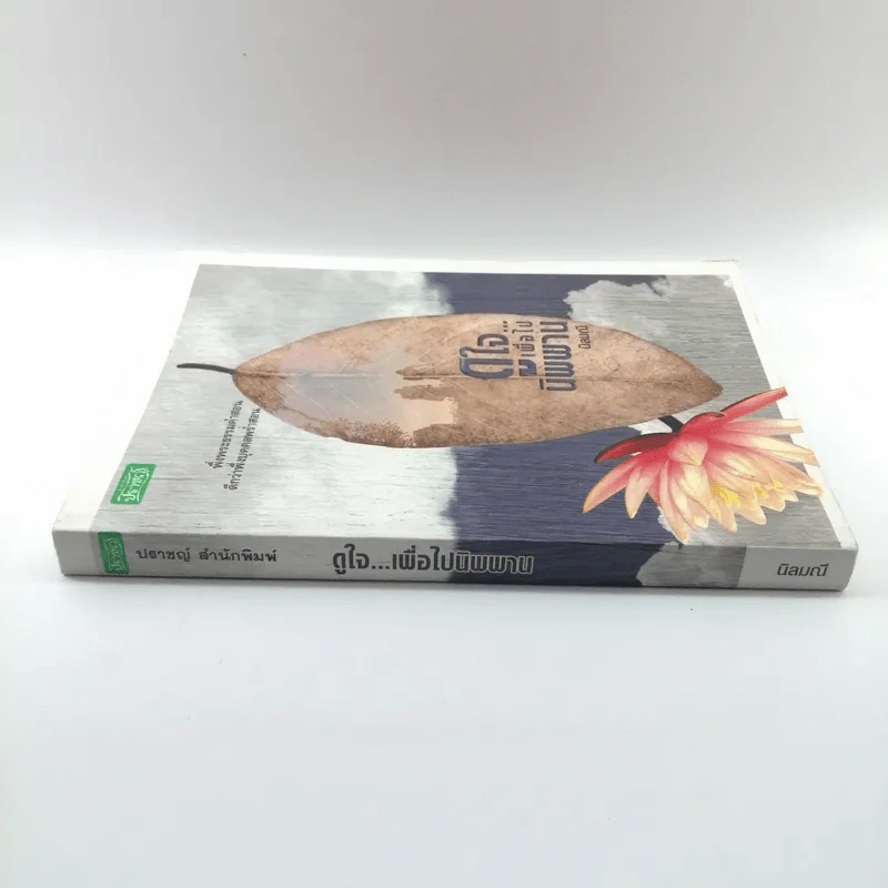 ดูใจเพื่อไปนิพพาน - นิลมณี รูปที่ 2