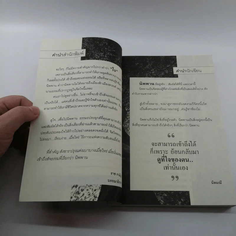 ดูใจเพื่อไปนิพพาน - นิลมณี รูปที่ 7
