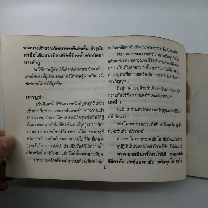 พระบรมฉายาลักษณ์ พระบาทสมเด็จพระจุลจอมเกล้าเจ้าอยู่หัว รูปที่ 10