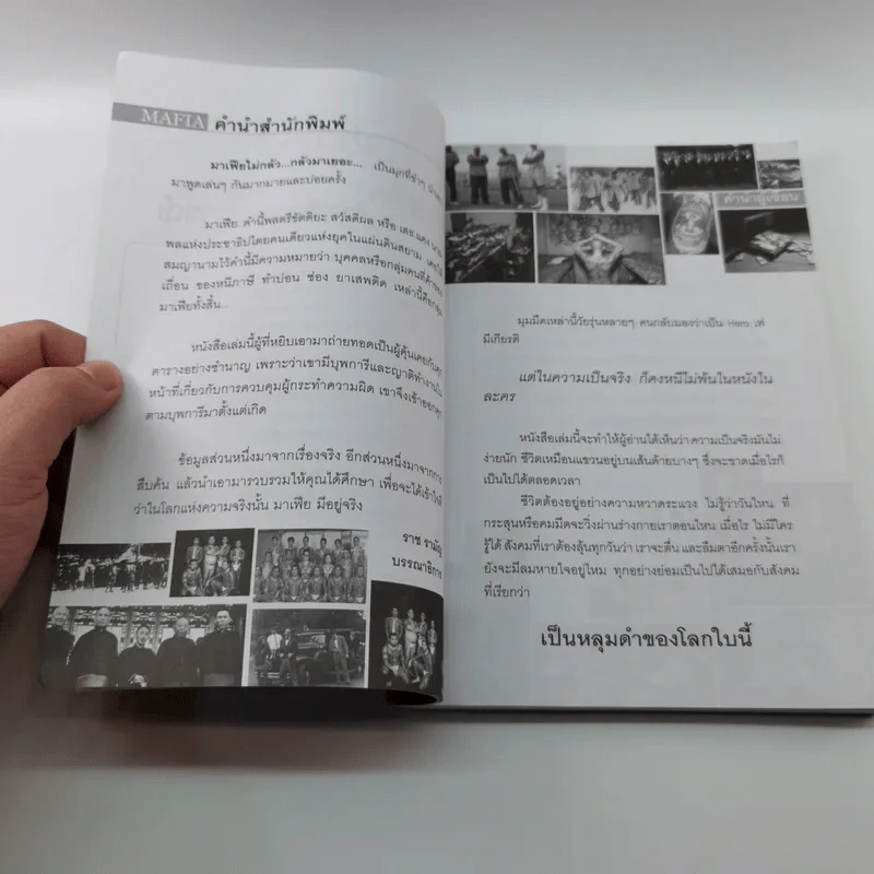 มาเฟีย Mafia Gangster - ตะวัน ตะพานทอง รูปที่ 7