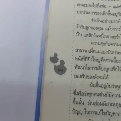 เข็มทิศชีวิตลูก - กมลชนก บีท รูปที่ 14