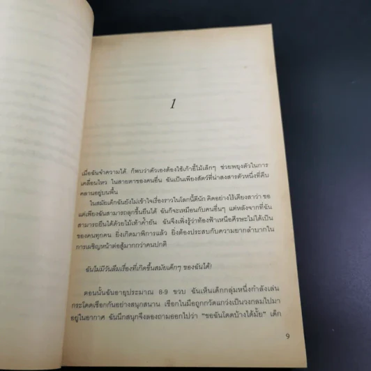 ดวงใจแม่สูงดั่งตะวัน - จ้าวติ้งจุน รูปที่ 13