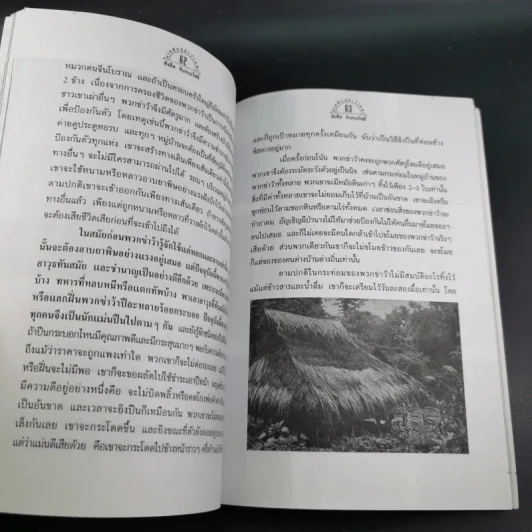 สายพันธุ์ข่าว้าแดง - สังคีต จันทนะโพธิ์ รูปที่ 14
