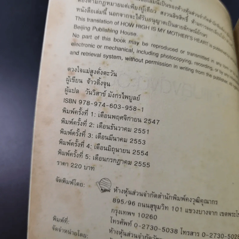 ดวงใจแม่สูงดั่งตะวัน - จ้าวติ้งจุน รูปที่ 8