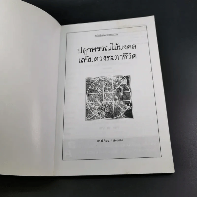 ปลูกพรรณไม้มงคลเสริมดวงชะตาชีวิต รูปที่ 8