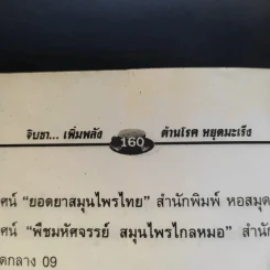 จิบชา เพิ่มพลัง ต้านโรค หยุดมะเร็ง - ภาณุทรรศน์ รูปที่ 16