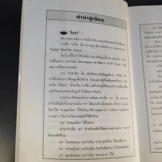 จิบชา เพิ่มพลัง ต้านโรค หยุดมะเร็ง - ภาณุทรรศน์ รูปที่ 11
