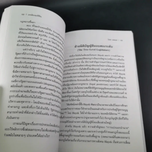 บทเล็คเชอร์ที่จีน การปฏิรูปรัฐธรรมนูญในจีน: บทเสริมสำหรับการอภิปราย - โฮเซ สเตลเล่ รูปที่ 16