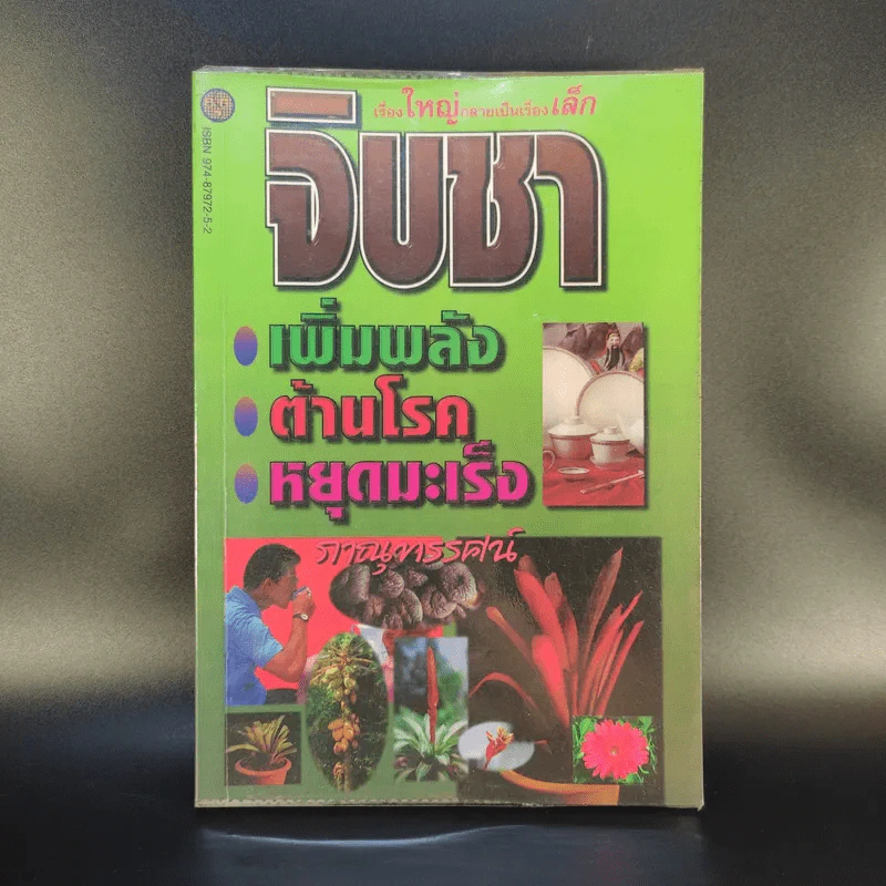จิบชา เพิ่มพลัง ต้านโรค หยุดมะเร็ง - ภาณุทรรศน์ รูปที่ 1
