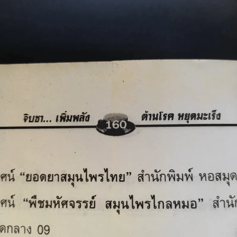 จิบชา เพิ่มพลัง ต้านโรค หยุดมะเร็ง - ภาณุทรรศน์ รูปที่ 16
