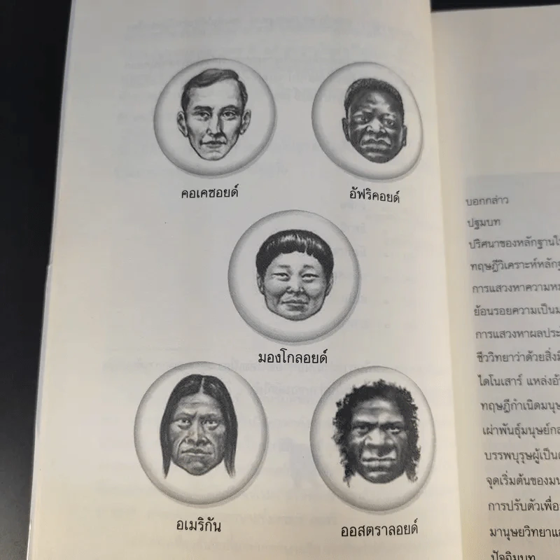 วิวัฒนาการเผ่าพันธุ์มนุษย์ - ธวัลกร ฉัตราธรรม รูปที่ 12