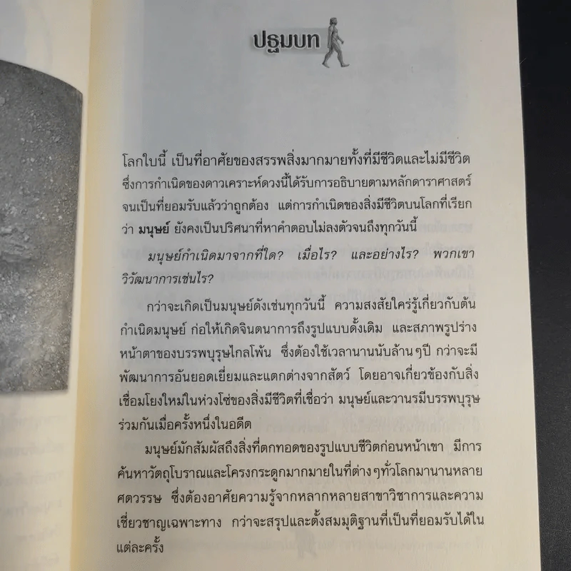 วิวัฒนาการเผ่าพันธุ์มนุษย์ - ธวัลกร ฉัตราธรรม รูปที่ 14