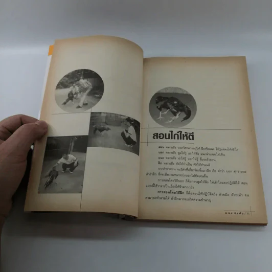 สอนไก่ให้ตี - อ.พล นิลผึ้ง รูปที่ 11