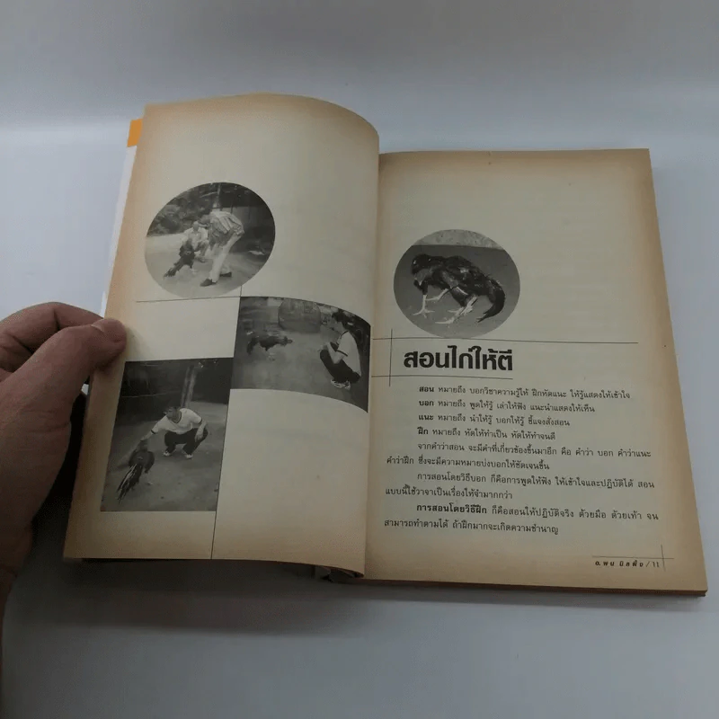 สอนไก่ให้ตี - อ.พล นิลผึ้ง รูปที่ 11