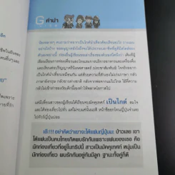 เที่ยวฟรีและได้เงิน อาชีพไกด์นี่แหละใช่เลย - อมรภัทร รัตนาพันธุ์ รูปที่ 10