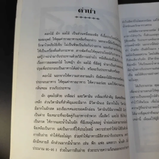 อาหารจากพืชพรรณ 2 - วัลยา ภู่ภิญโญ รูปที่ 11
