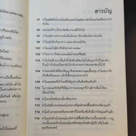 ปริศนาคาใจ? Vol.2 ทำไมจึงไม่เห็นมีใครขี่ม้าลาย - เดวิด เฟลด์แมน รูปที่ 13