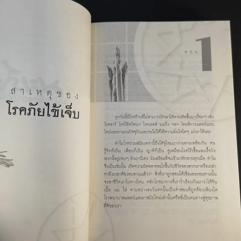 มะเร็ง ไม่น่ากลัวอย่างที่คิด - ธรรมปราโมทย์ รูปที่ 18