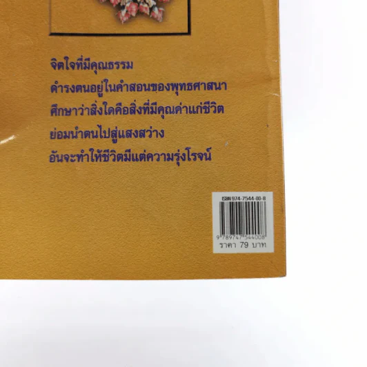 มงคลชีวิตเพื่อความร่ำรวยและรุ่งโรจน์ - สมพงษ์ ฉัตรอมรวัฒน์ รูปที่ 14