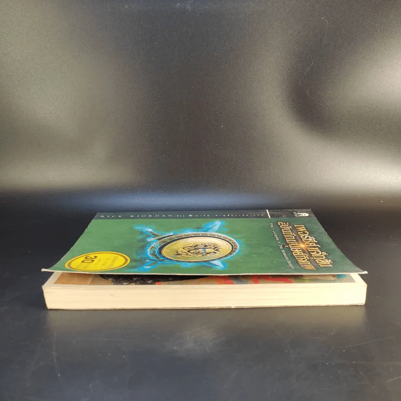 เพอร์ซีย์ แจ็กสันกับบันทึกมนุษย์กึ่งเทพ Percy Jackson & The Demigod Diaries รูปที่ 6