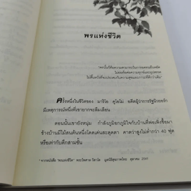 ท้อแค่ไหนต้องไม่อ่อนแอ - พระไพศาล วิสาโล รูปที่ 12