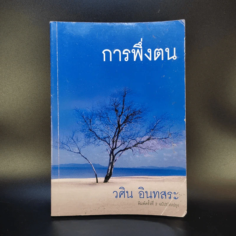 การพึ่งตน - วศิน อินทสระ รูปที่ 1