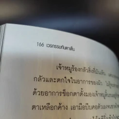 เวรกรรมทันตาเห็น - สิทธา รูปที่ 16