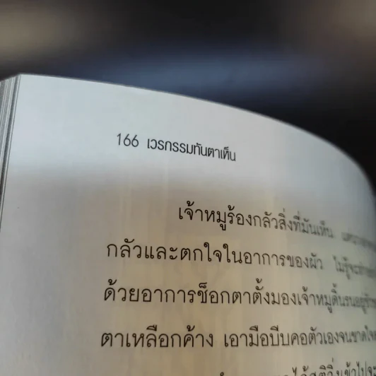 เวรกรรมทันตาเห็น - สิทธา รูปที่ 16