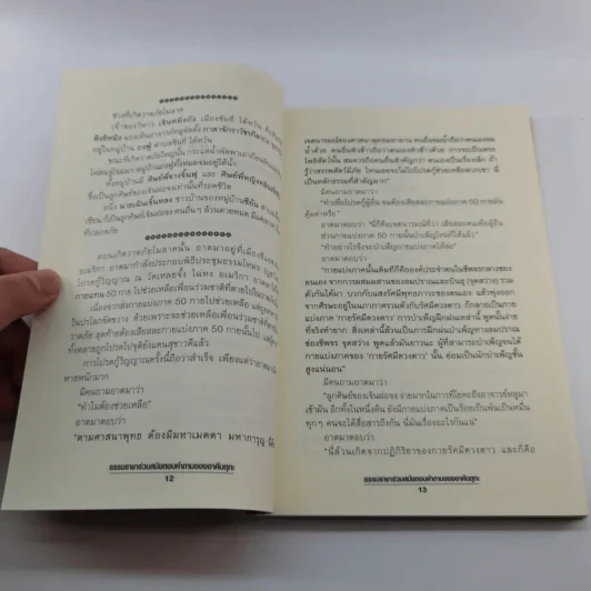 ธรรมราชาร่วมสมัย ตอบคำถามของอาคันตุกะ - พระพุทธาจารย์เหลียนเซิน หลูเซิ่งเยี่ยน รูปที่ 13