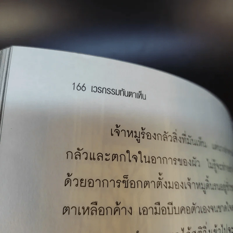 เวรกรรมทันตาเห็น - สิทธา รูปที่ 16