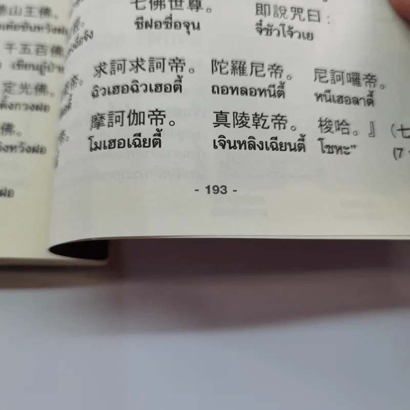 ธรรมราชาร่วมสมัย ตอบคำถามของอาคันตุกะ - พระพุทธาจารย์เหลียนเซิน หลูเซิ่งเยี่ยน รูปที่ 15