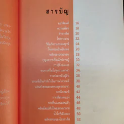 ปลุกจิต ปลอบใจ - สมิต อาชวนิจกุล รูปที่ 14