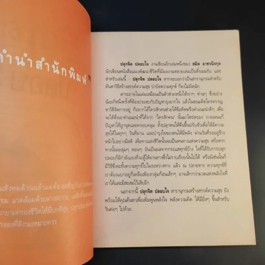 ปลุกจิต ปลอบใจ - สมิต อาชวนิจกุล รูปที่ 11