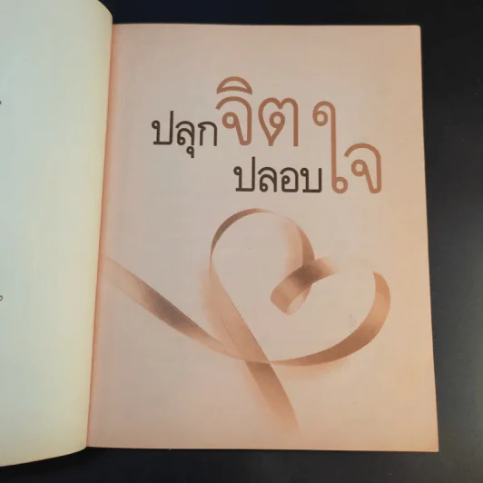 ปลุกจิต ปลอบใจ - สมิต อาชวนิจกุล รูปที่ 10