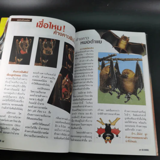 Go Genius ปีที่ 6 ฉบับที่ 62 ม.ค.2541 เร แมคโดแนลด์ รูปที่ 13