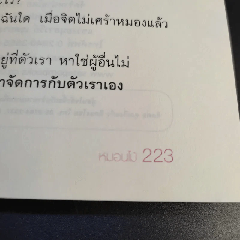 สุขให้เป็น เย็นให้ได้ - หนอนไม้ รูปที่ 15