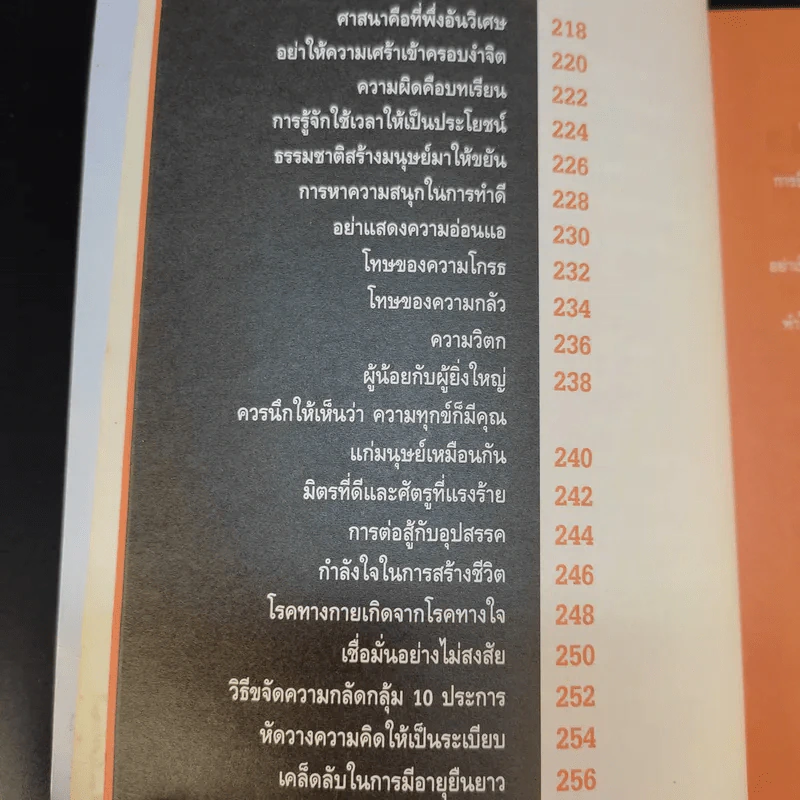 ปลุกจิต ปลอบใจ - สมิต อาชวนิจกุล รูปที่ 19