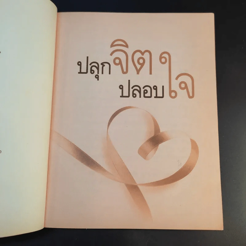 ปลุกจิต ปลอบใจ - สมิต อาชวนิจกุล รูปที่ 10