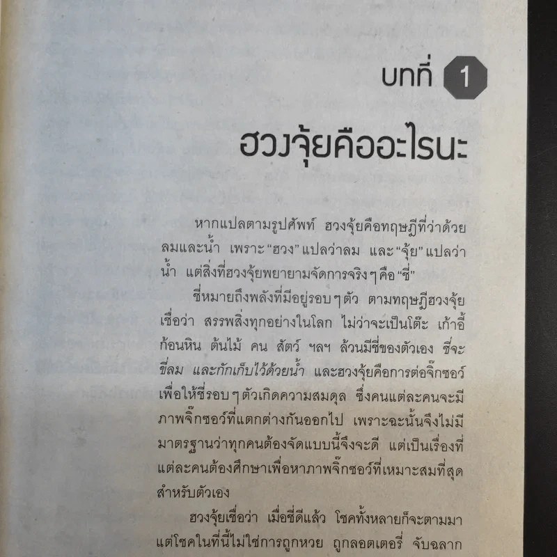 ฮวงจุ้ยดีงานนี้มีแต่รุ่ง - อ.ช้าง ทศพร ศรีตุลา รูปที่ 13