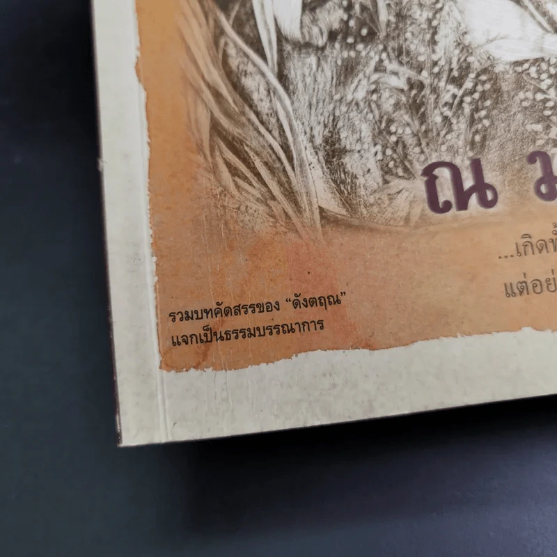 ณ มรณา - ดังตฤณ รูปที่ 7
